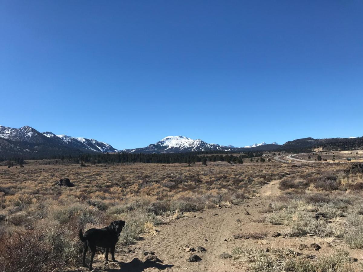 Villa Mountainback #41, Loft Mammoth Lakes Exterior foto